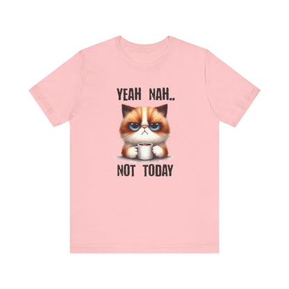 Grumpy cat shirt, funny cat tee, crazy cat lady gift