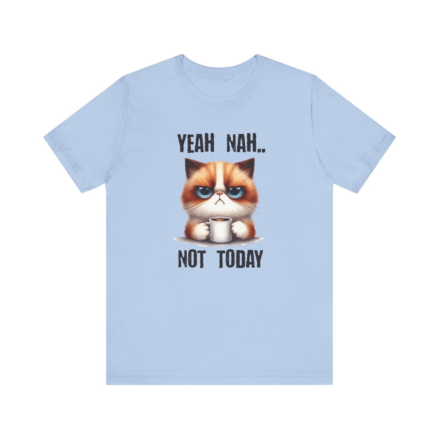 Grumpy cat shirt, funny cat tee, crazy cat lady gift