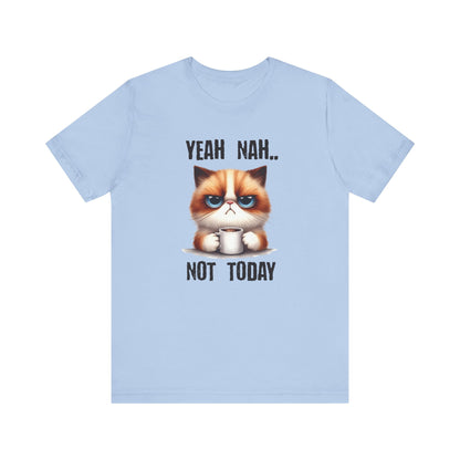 Grumpy cat shirt, funny cat tee, crazy cat lady gift