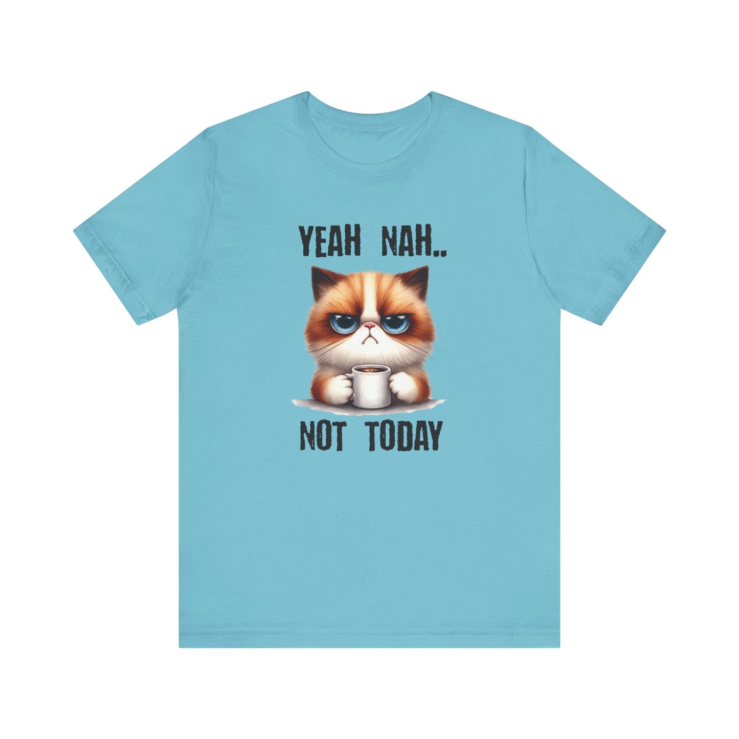 Grumpy cat shirt, funny cat tee, crazy cat lady gift